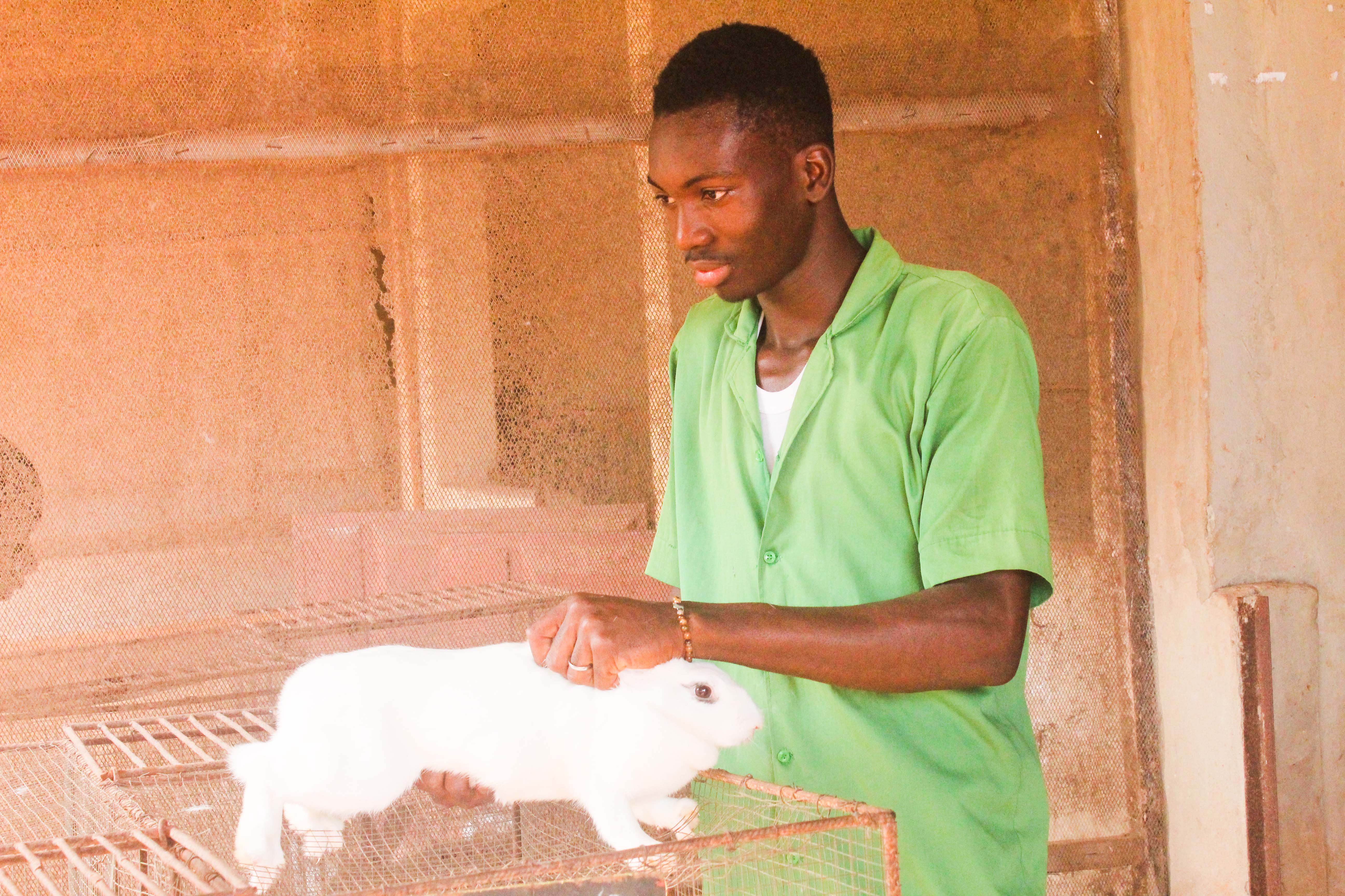 Agriculture Biologique